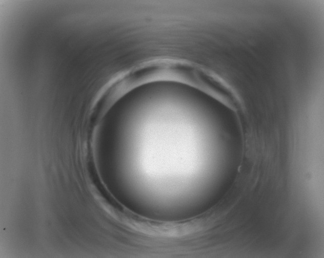 X0000082160015200701262346