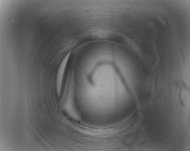 X0000082160027200701262346