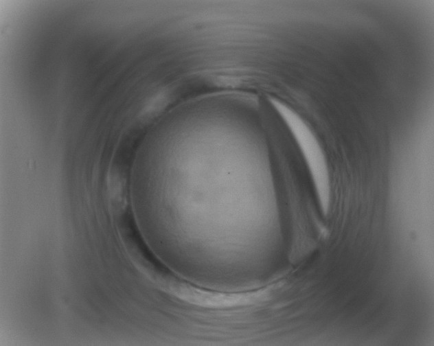 X0000082160031200701262346
