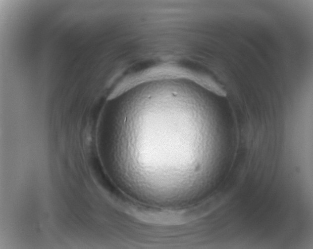 X0000082160032200701262346