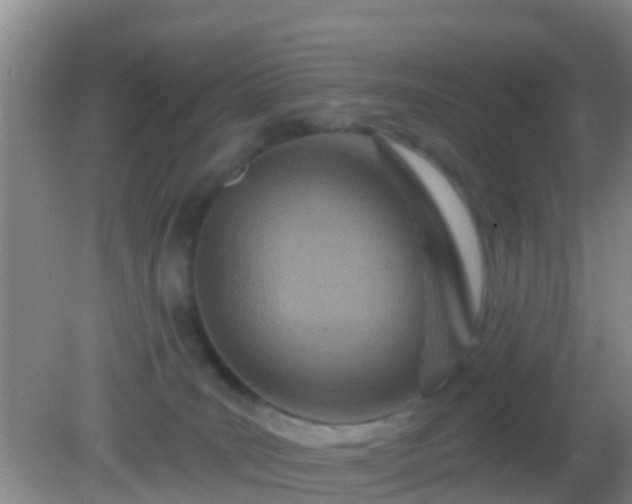 X0000082160035200701262346