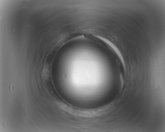 X0000082160037200701262345