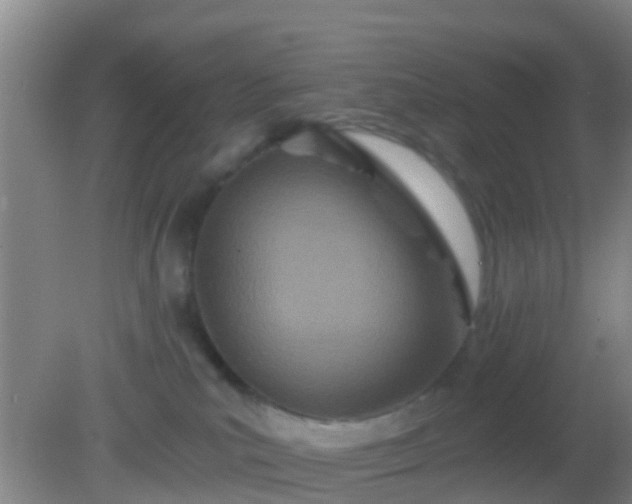 X0000082160039200701262345