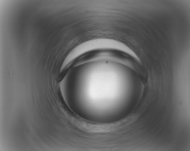 X0000082160044200701262345