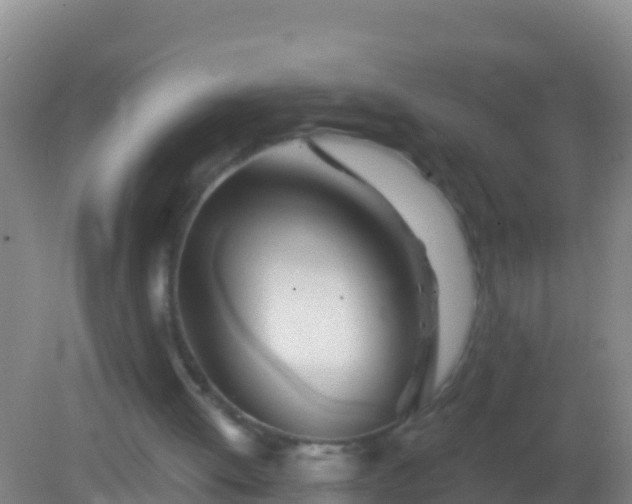X0000082160052200701262345