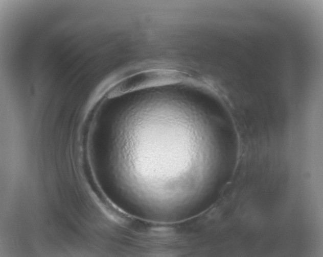 X0000082160053200701262345