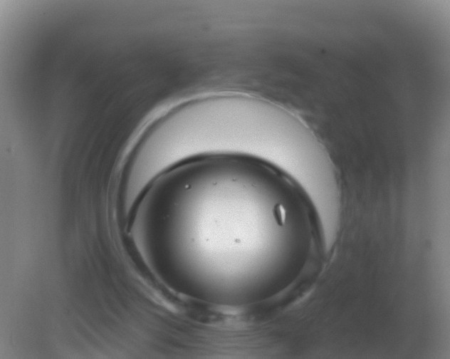 X0000082160056200701262345