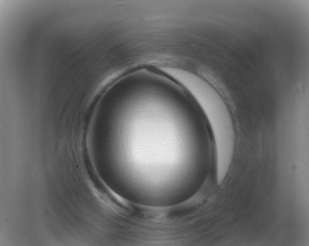 X0000082160058200701262345