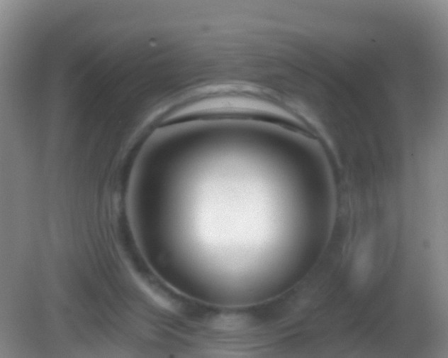 X0000082160063200701262345
