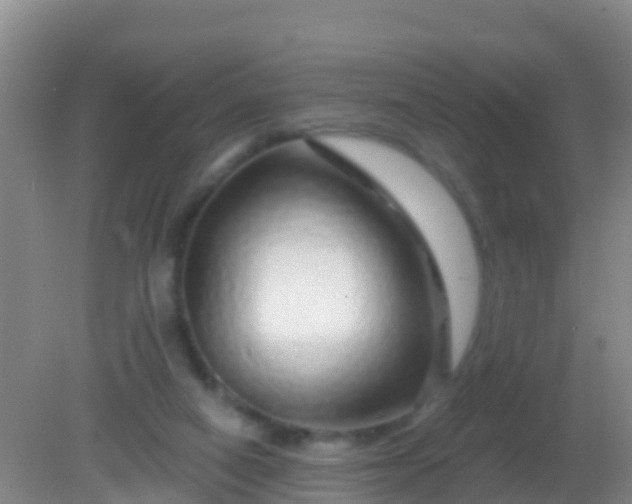 X0000082160066200701262345