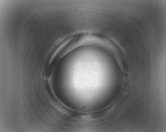 X0000082160068200701262345