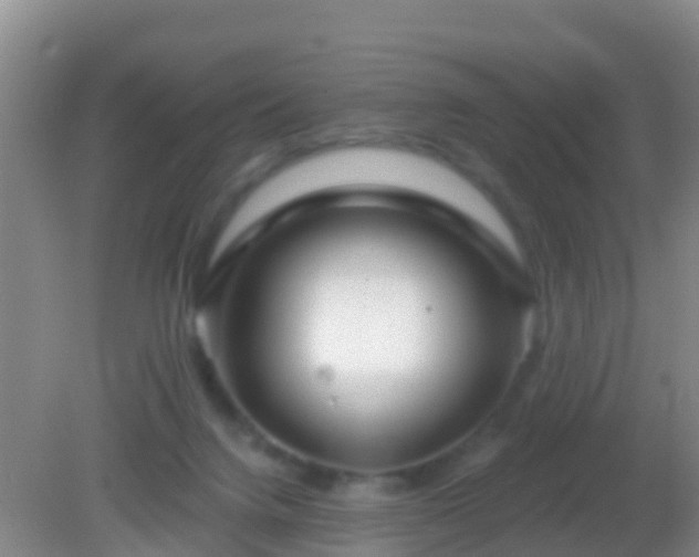 X0000082160072200701262345