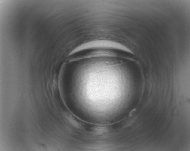 X0000082160085200701262345