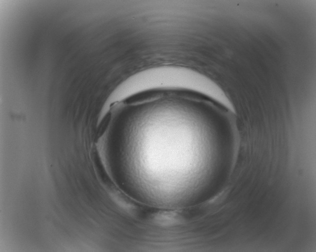 X0000082160086200701262345