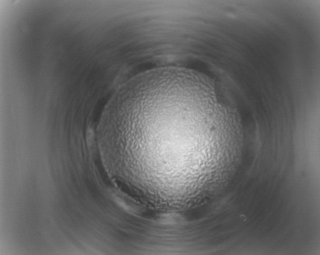 X0000082160087200701262345