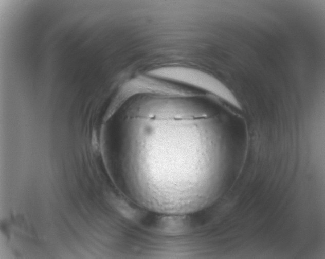 X0000082160089200701262345