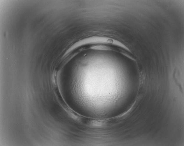 X0000082160094200701262345