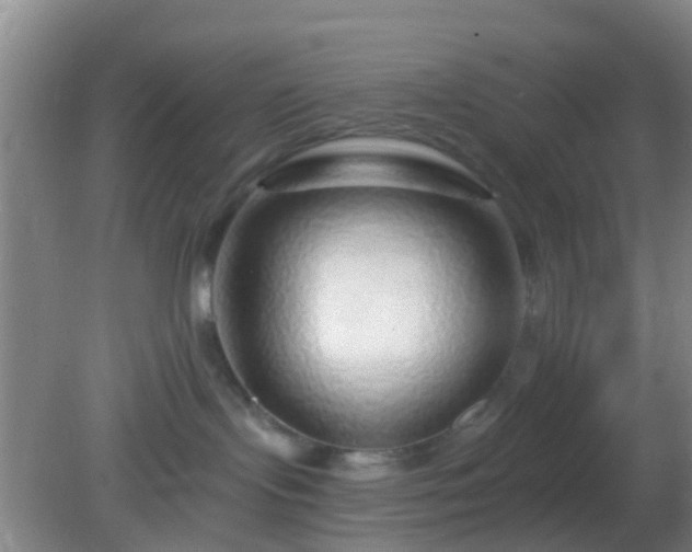 X0000082160095200701262345