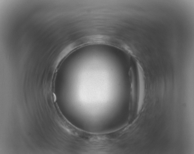 X0000082160099200701262344