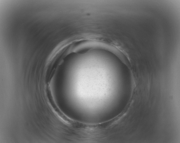 X0000082160101200701262344