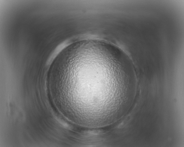 X0000082160103200701262344