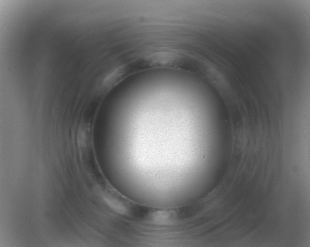 X0000082160126200701262344
