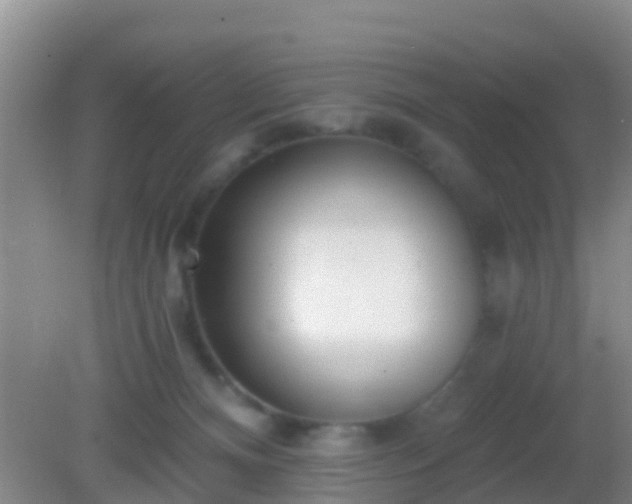 X0000082160128200701262344