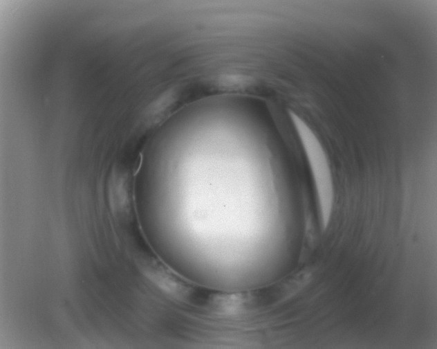 X0000082160131200701262344