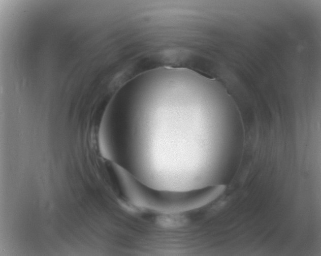 X0000082160137200701262344