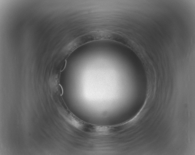 X0000082160144200701262344