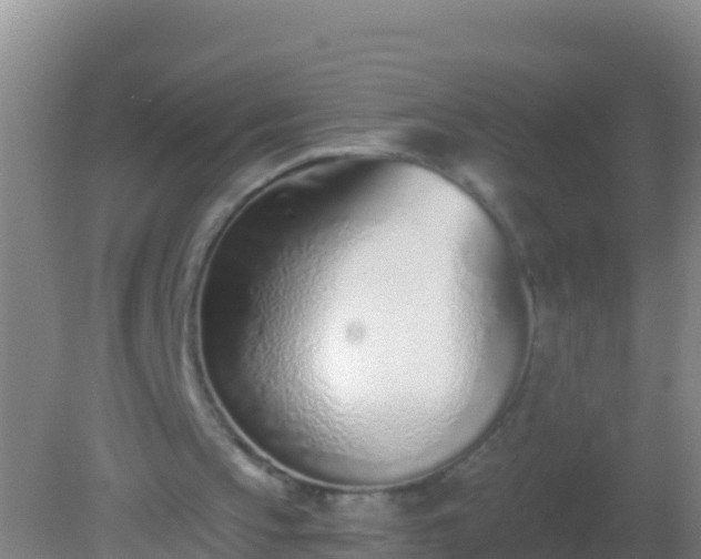 X0000082160145200701262343