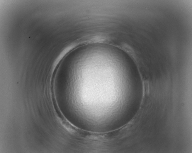 X0000082160147200701262343