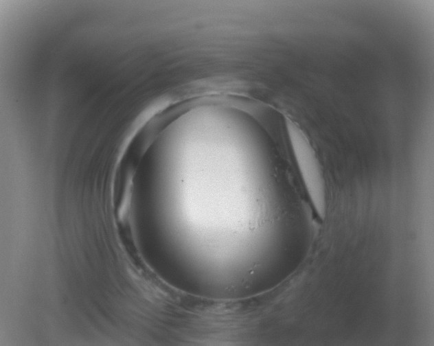 X0000082160148200701262343