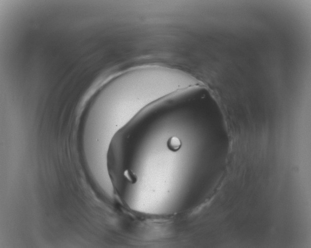 X0000082160150200701262343