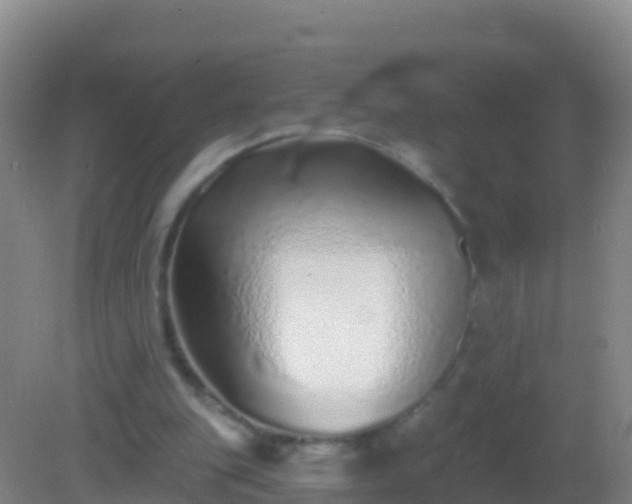 X0000082160151200701262343