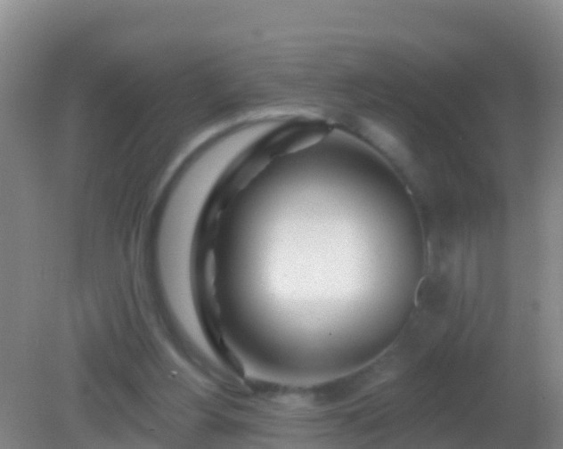 X0000082160156200701262343