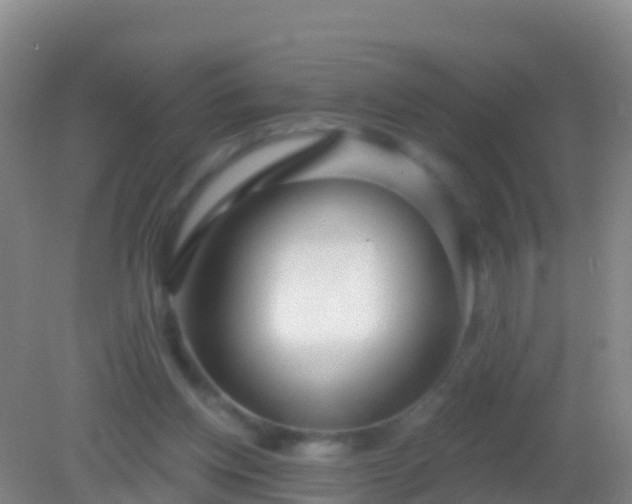 X0000082160158200701262343