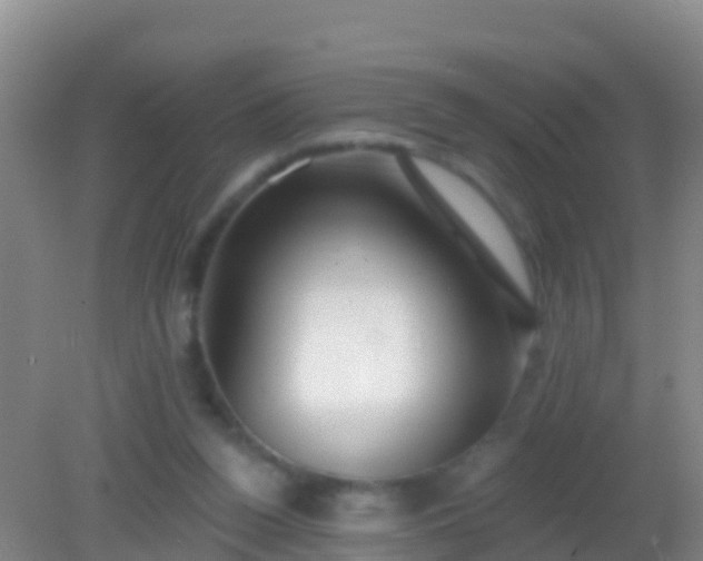 X0000082160160200701262343