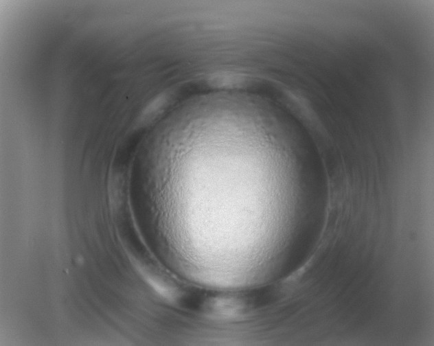 X0000082160171200701262343