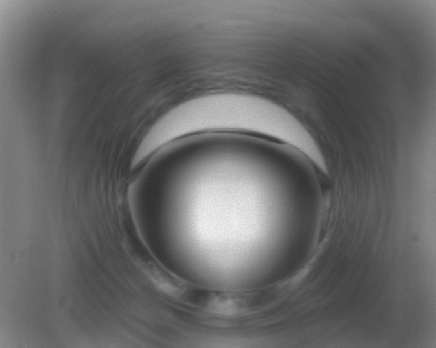 X0000082160174200701262343