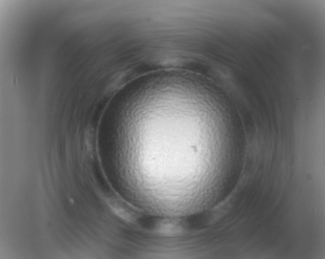 X0000082160175200701262343