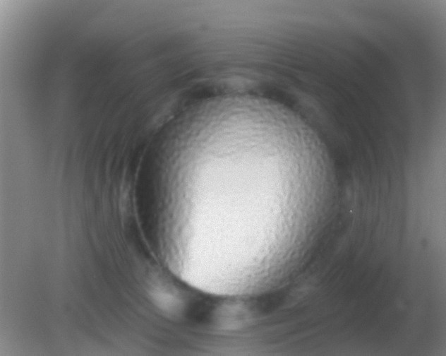 X0000082160177200701262343