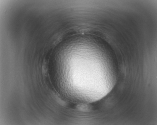 X0000082160181200701262343