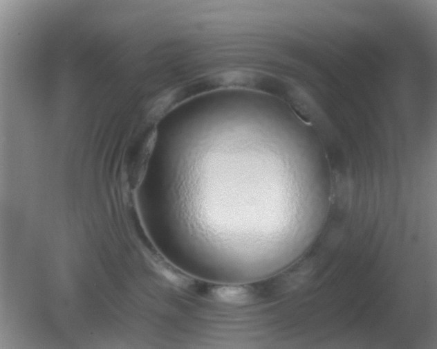 X0000082160189200701262344