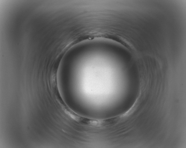 X0000082160192200701262344
