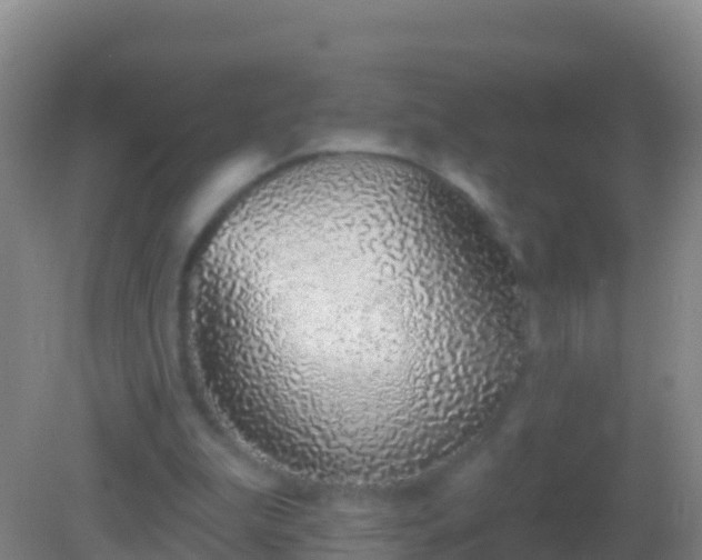 X0000082160199200701262343