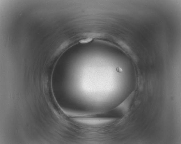 X0000082160201200701262343