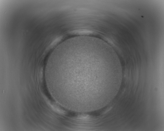 X0000082160206200701262343