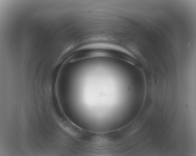 X0000082160207200701262343