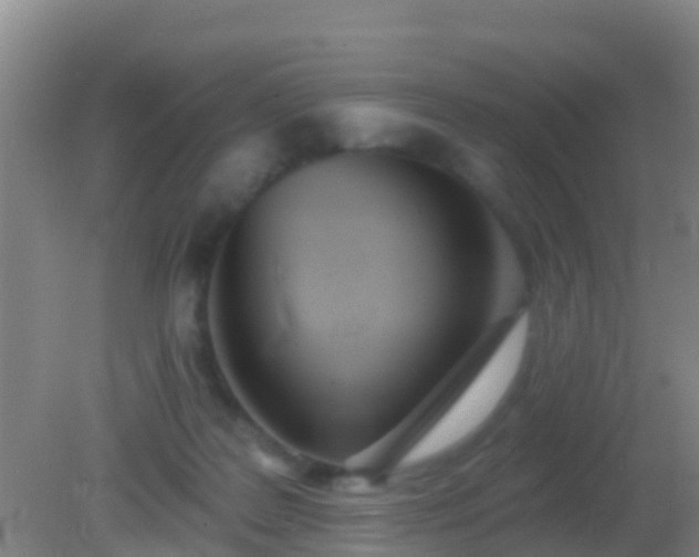 X0000082160219200701262342